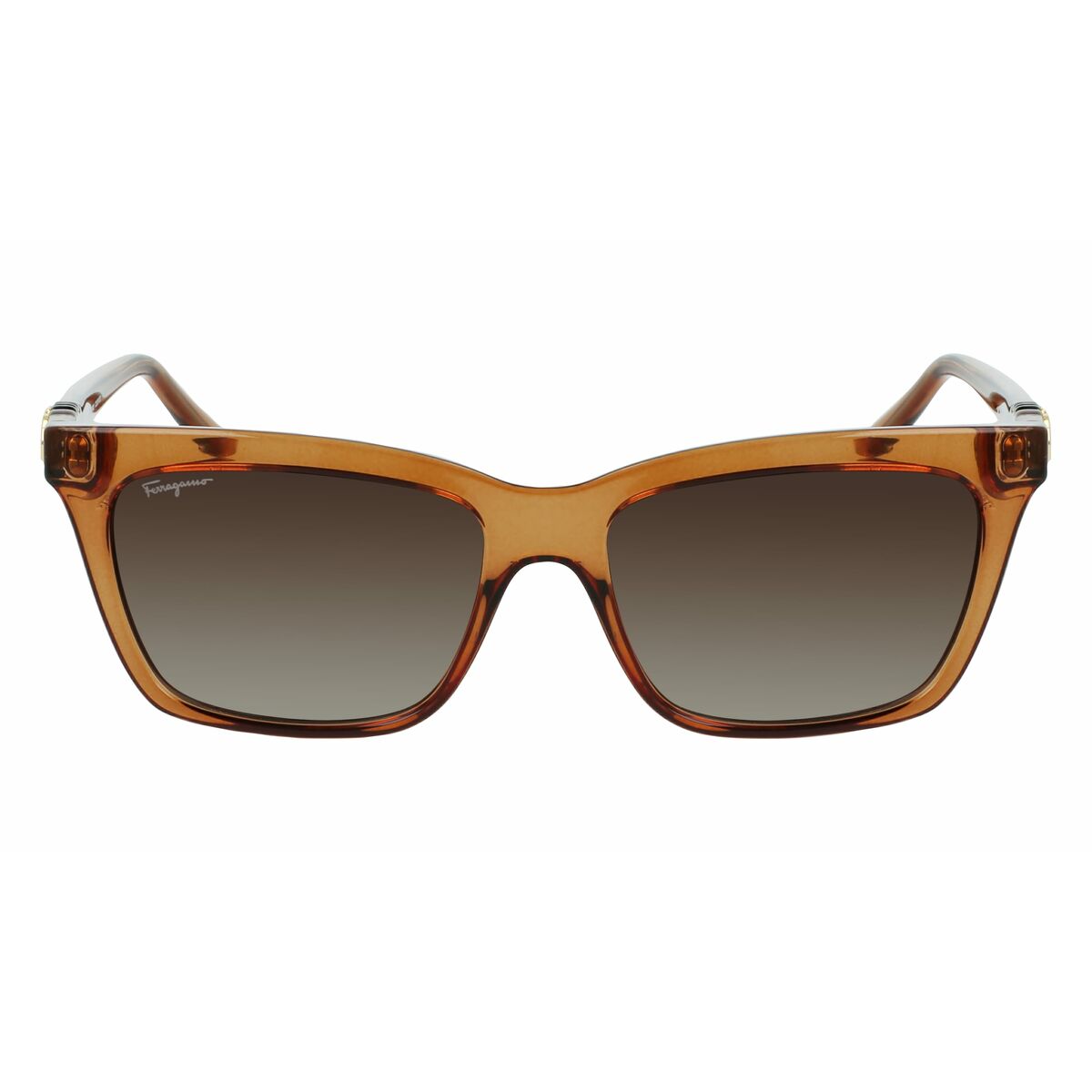 Ochelari de Soare Damă Salvatore Ferragamo SF1027S-210