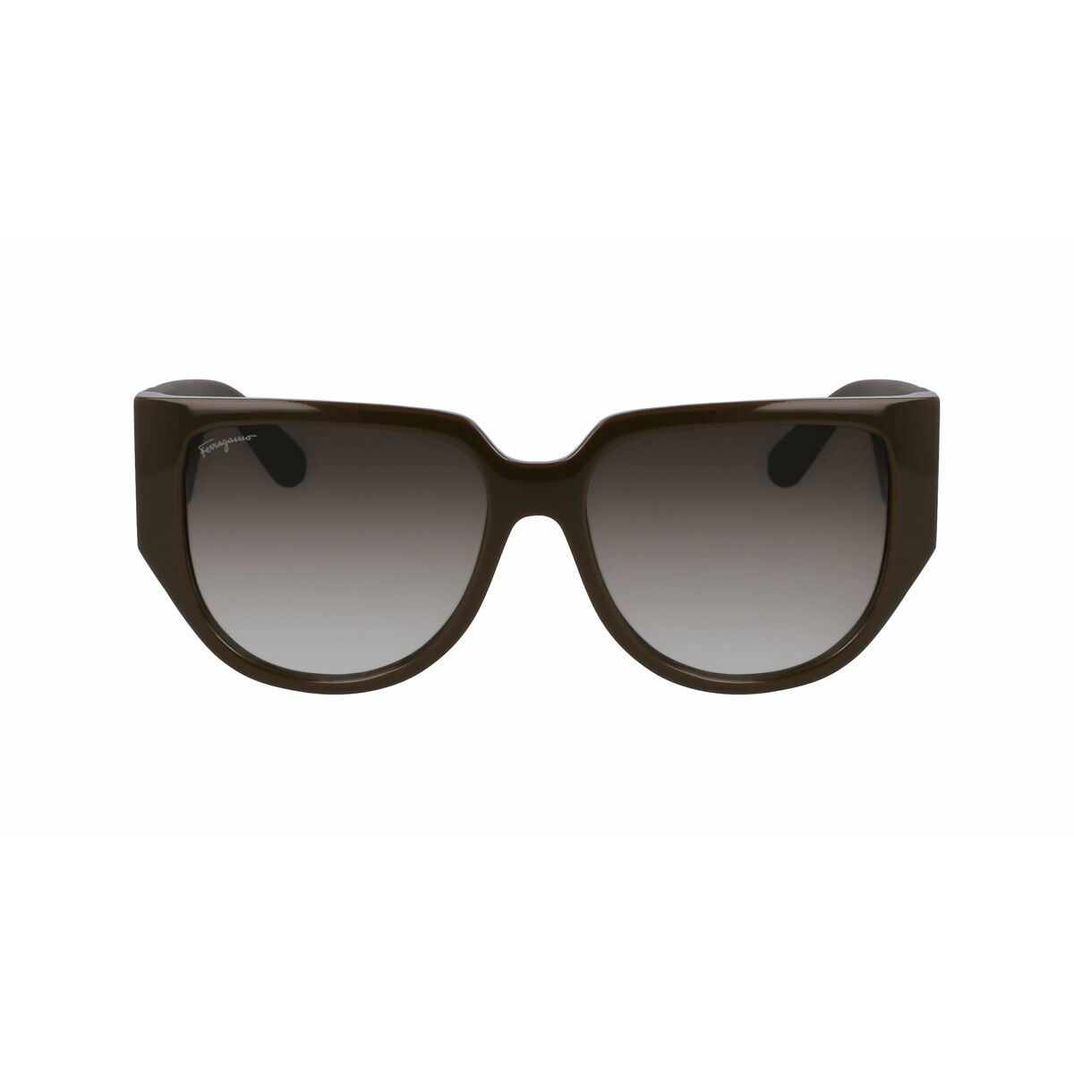 Ochelari de Soare Damă Salvatore Ferragamo SF1088SE-324
