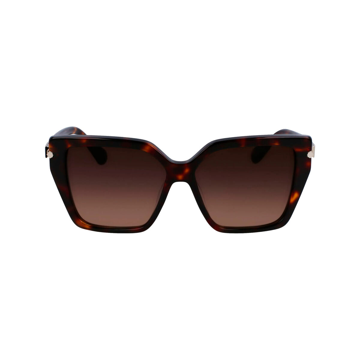 Ochelari de Soare Damă Salvatore Ferragamo SF1106S-242
