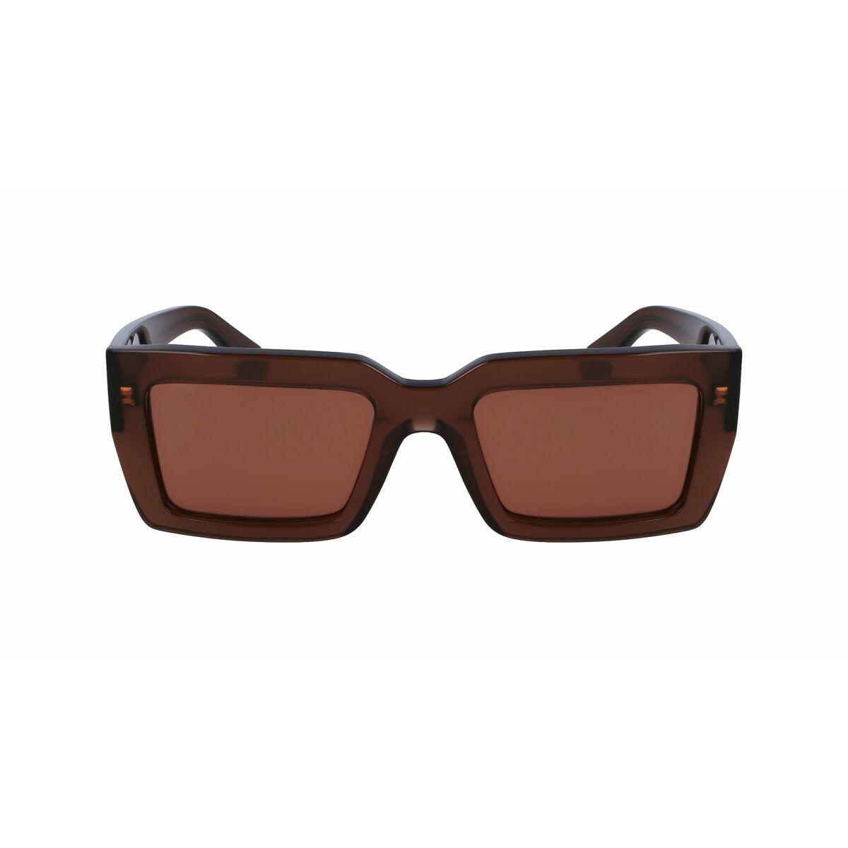 Ochelari de Soare Damă Salvatore Ferragamo SF1108S542123