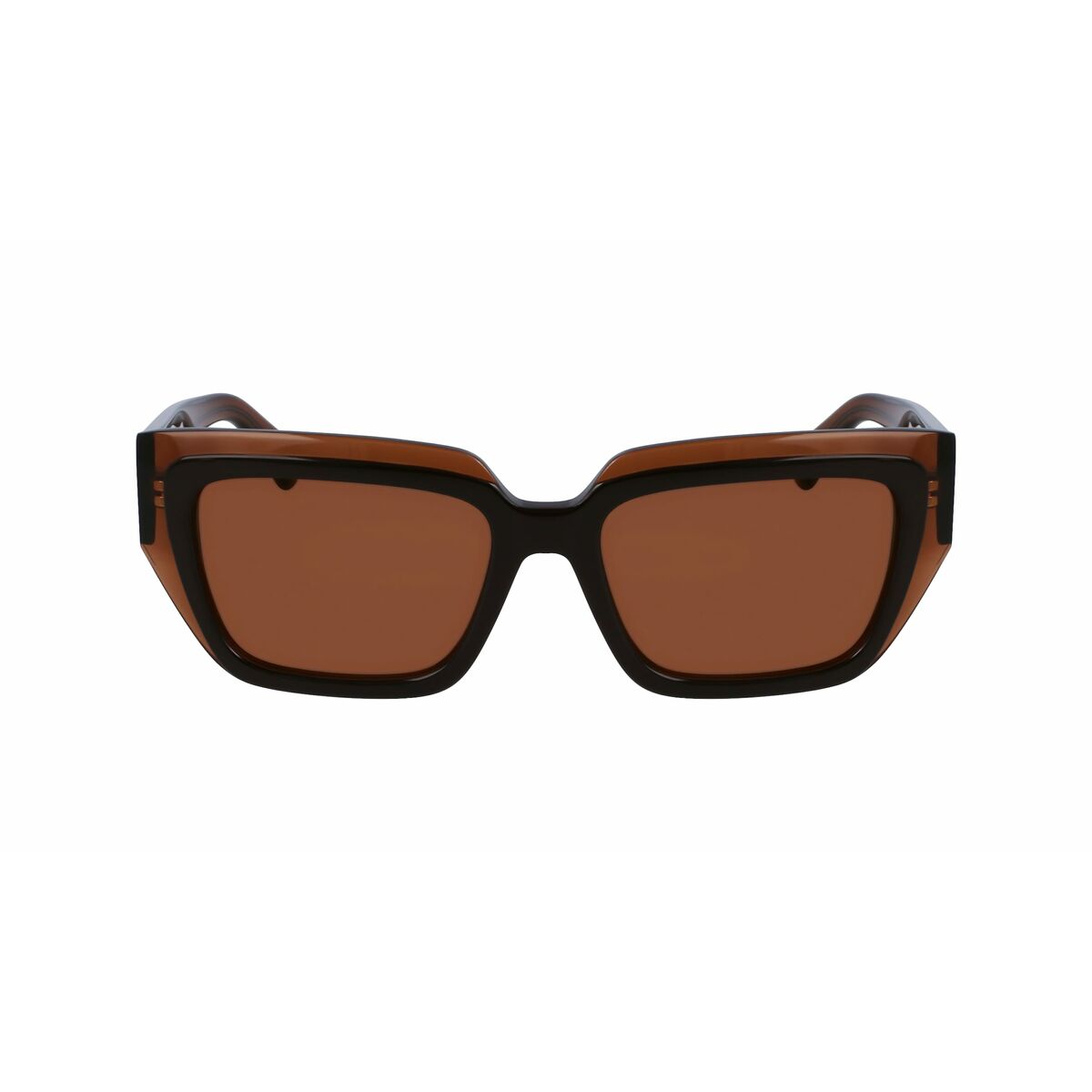 Ochelari de Soare Damă Salvatore Ferragamo SF2002S-233