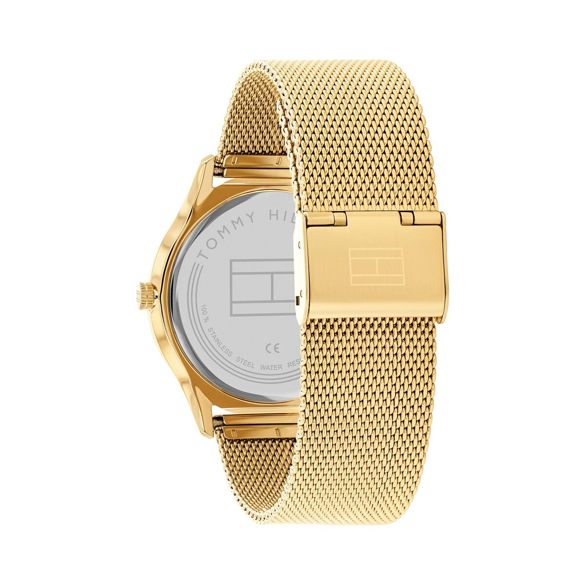 Ceas Bărbați Tommy Hilfiger 1710469