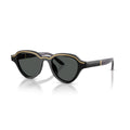 Ochelari de Soare Bărbați Emporio Armani EA 4264U Negru